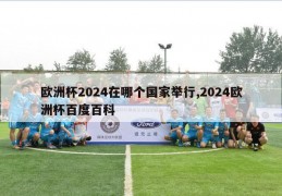 欧洲杯2024在哪个国家举行,2024欧洲杯百度百科