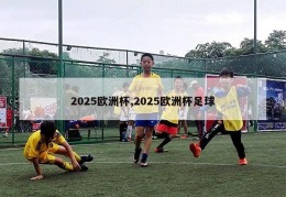 2025欧洲杯,2025欧洲杯足球