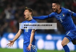 欧洲杯2024在哪儿踢,21年欧洲杯在哪里踢