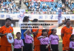 2024欧洲杯在哪里可以看比赛回放,2021欧洲杯怎么看回放