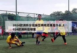 2024欧洲杯分组抽签揭晓结果是什么,2024欧洲杯在哪里