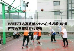 欧洲杯预选赛直播cctv5在线观看,欧洲杯预选赛集锦在线观看