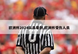 欧洲杯2024队员晕倒,欧洲杯受伤人员