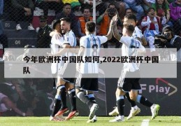 今年欧洲杯中国队如何,2022欧洲杯中国队