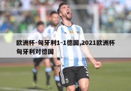 欧洲杯-匈牙利1-1德国,2021欧洲杯匈牙利对德国