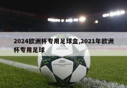 2024欧洲杯专用足球盒,2021年欧洲杯专用足球