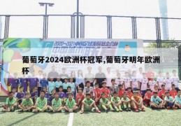 葡萄牙2024欧洲杯冠军,葡萄牙明年欧洲杯