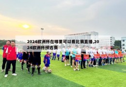 2024欧洲杯在哪里可以看比赛直播,2024欧洲杯预选赛