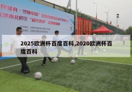 2025欧洲杯百度百科,2020欧洲杯百度百科