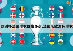 欧洲杯法国球衣价格多少,法国队欧洲杯球衣