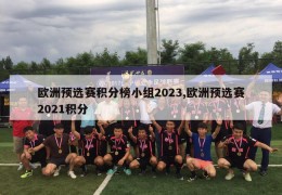 欧洲预选赛积分榜小组2023,欧洲预选赛2021积分