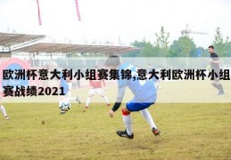 欧洲杯意大利小组赛集锦,意大利欧洲杯小组赛战绩2021